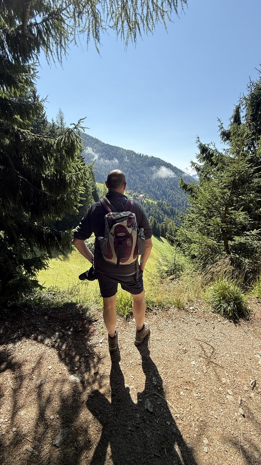 Dave Clifford kijkt over een Alpendal, perspectief en richting