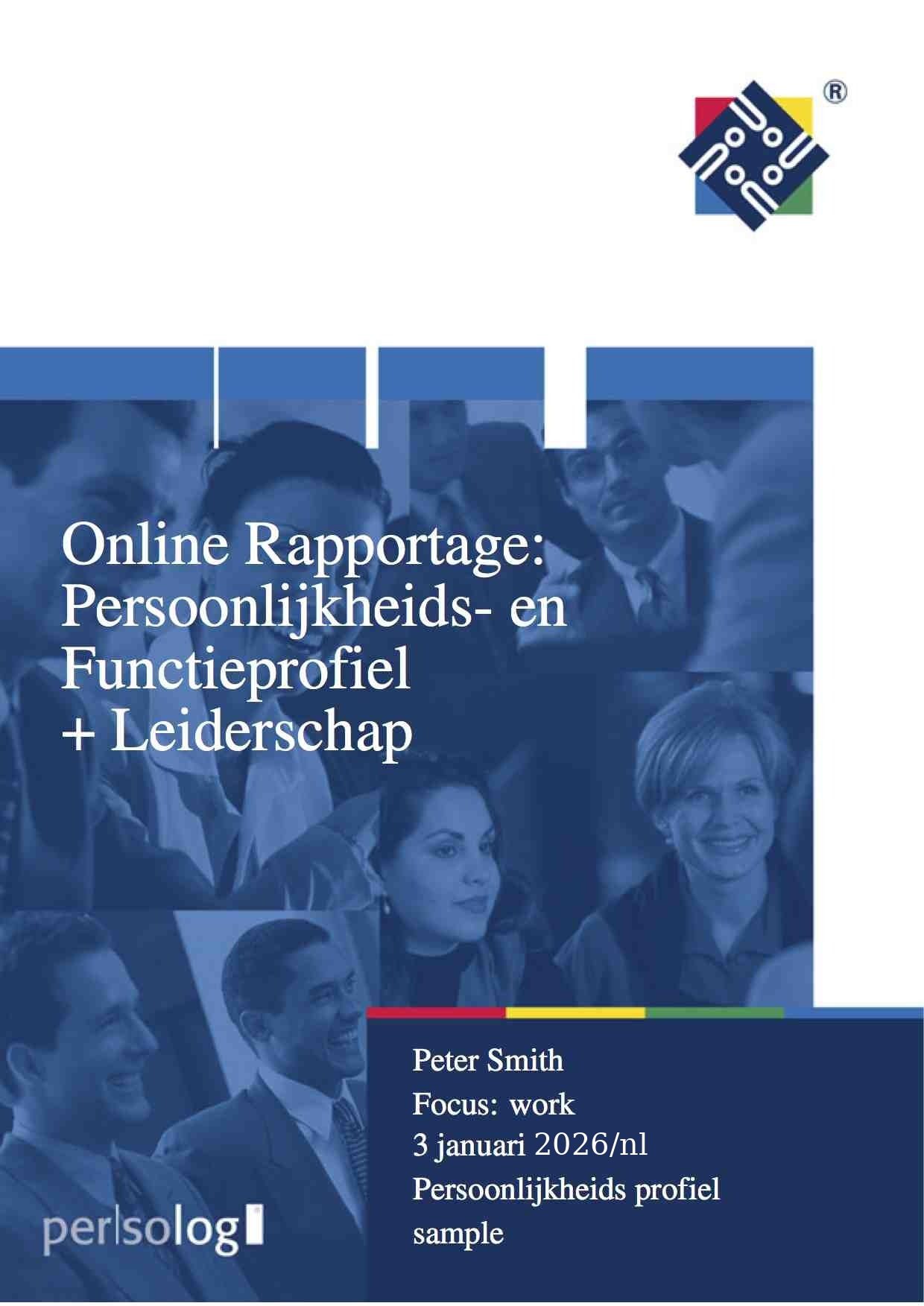 Voorbeeld van een DiSC-rapportage: persoonlijkheids- en functieprofiel met leiderschap